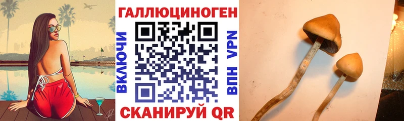 darknet какой сайт  Гороховец  Галлюциногенные грибы Psilocybe  kraken ТОР 