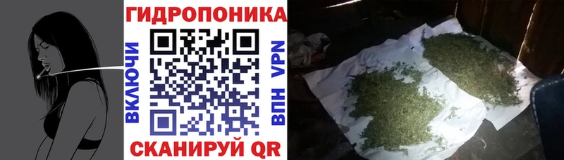 Конопля тримм  кракен ССЫЛКА  Гороховец 